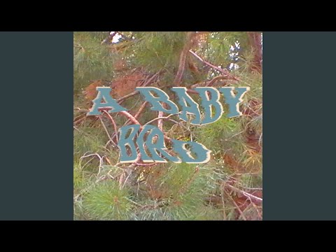 A Baby Bird - Blake Rouse