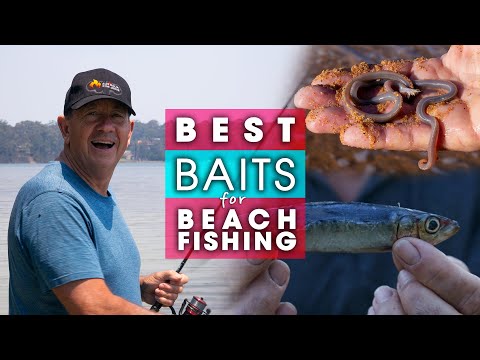 BEST BAITS for Beach Fishing ( COMPLETE GUIDE ) How to put them on your hook!