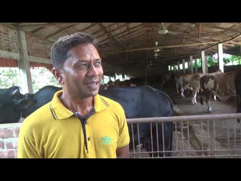 ভিডিও