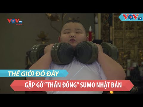 Gặp gỡ “thần đồng” Sumo Nhật Bản