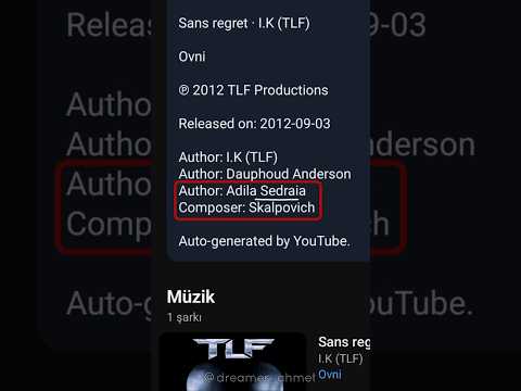 An unknown song by Indila from 2012...TLF - Sans Regret (Feat. Lara Bellerose, Indila, Skalpovich)