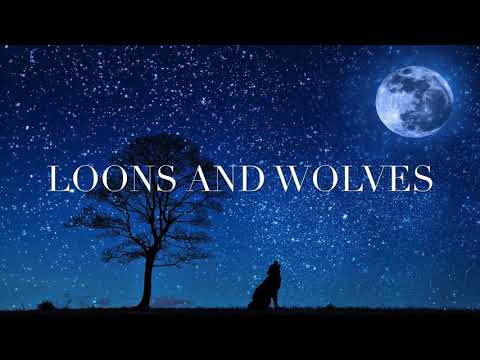 1 Hour LOONS & WOLVES - Loon Calls For Relaxing - *No Music*