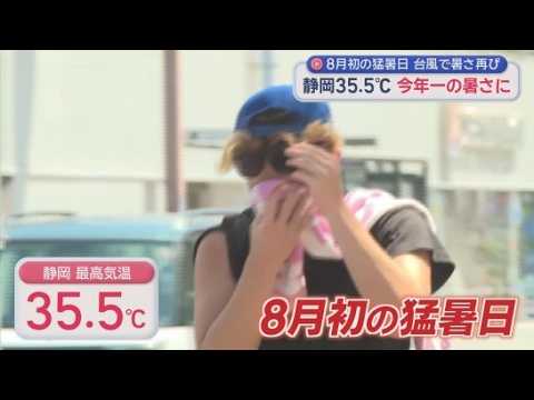 YouTube Video 静岡県内3地点で『猛暑日』　雨が降らず干上がり「川というより水たまり」　人気は「冷たいとんかつ」