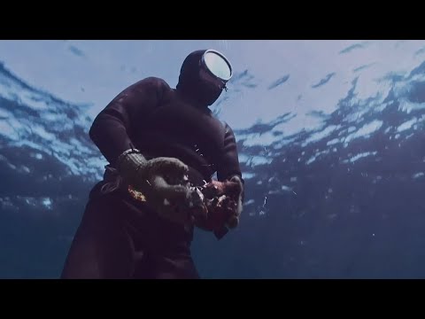 한국관광공사 x WBD — Capturing Korea — 제주