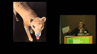 Rarest of the Rare: Behind the Treasures at the Harvard Museum of Natural History