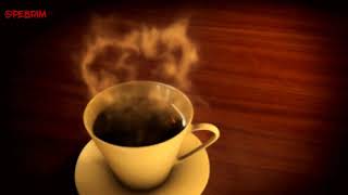 Download lagu 'Story wa'// mantul // cuma dunia - smvll cover Reggae// part 4 mp3