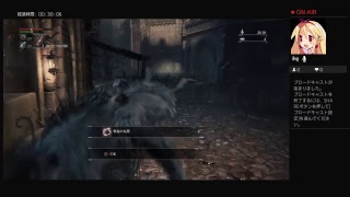 blood borne下手RTA練習