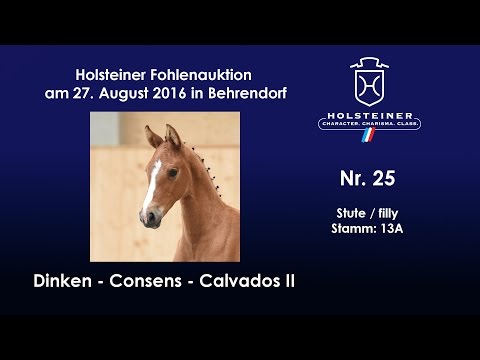 Holsteiner Fohlenauktion 2016 in Behrendorf - Nr. 25 v. Dinken - Consens