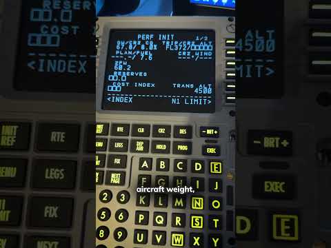 Airplane Flight Management Computer Explained (Boeing 737)