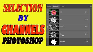 Making Selections Using Channels Photoshop advanced