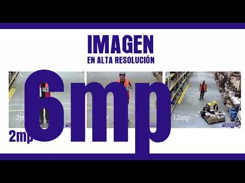 Resultado final — Identificación real