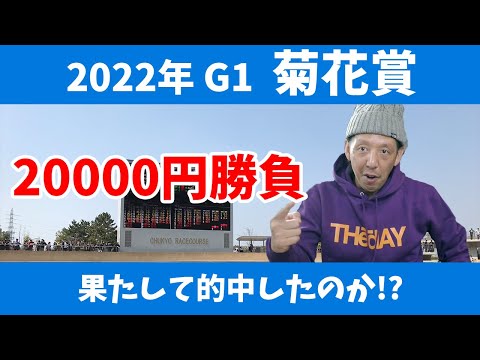 菊花賞 2022 結果 アスクビクターモア 田辺裕信騎手 阪神競馬場