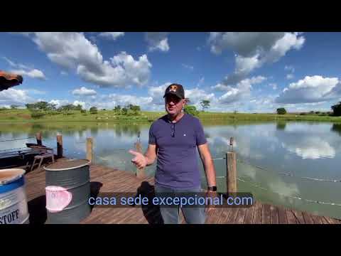 48,20 alqueires na região de Inhumas GO. Uma Linda Fazenda de dupla aptidão. 