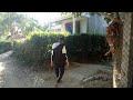 XUYÊN RỪNG TRÀM KHÁM PHÁ HỆ SINH THÁI RỪNG NGẬP NƯỚC