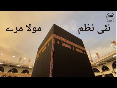 نئی نظم - مولا مرے قدیر مرے |  New Nazm - Mola Mere Qadeer Mere