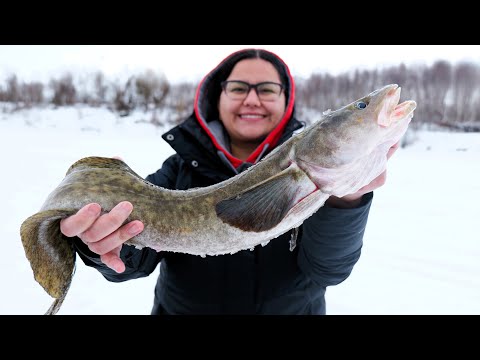 My Wife landed Her First Burbot!