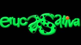 Foco Music Video