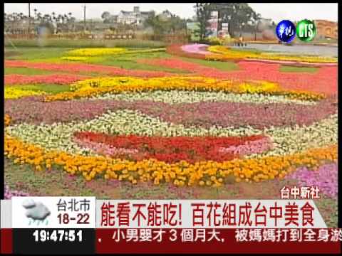 新社"花花世界" 打造台中"特色"