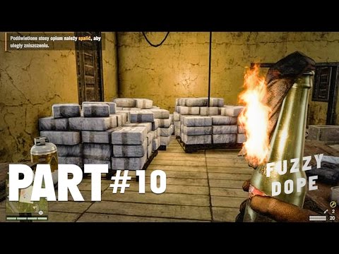 Far Cry 4 Walkthrough Gameplay Part 10 - Burn It Down - Campaign Mission 10 (PS4)