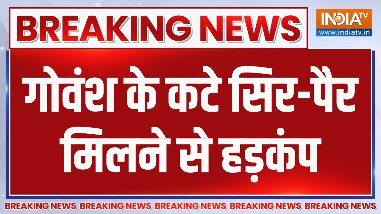 Haryana Breaking News: गोवंश के कटे सिर-पैर मिलने से हड़कंप | Panipat News LIVE | 