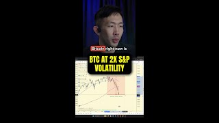 Bitcoin Follows the S&P at 2x Volatility