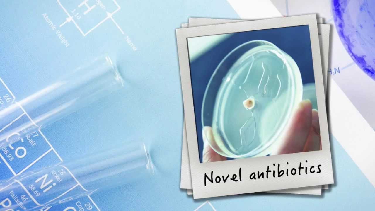 Video: Be-Basic Foundation Annual report 2014