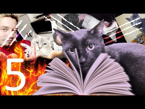 O Diário de Sylvester 5 - Voando para bem longe!