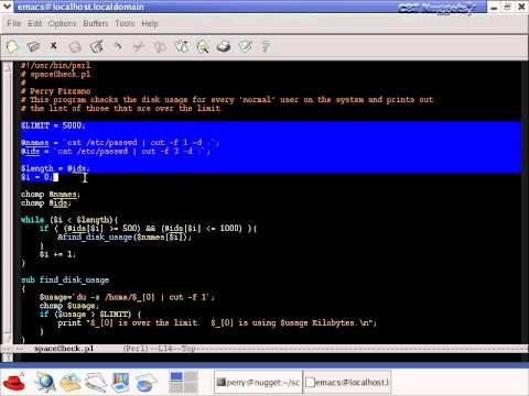 21  Perl Programming Language