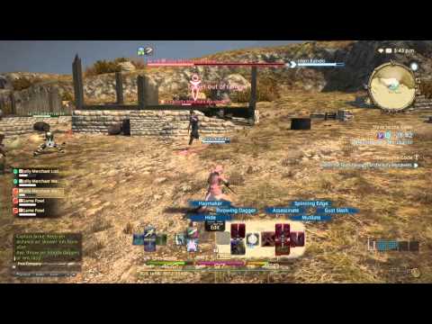 FINAL FANTASY XIV: Slave to the Code lvl 15 rogue instanced quest