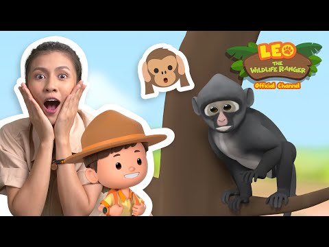 Witness21  2022 09 17