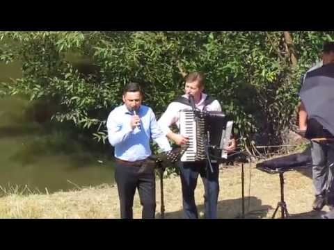 SIDOREL MAFTEI - TU TE-AI OPRIT....