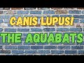 The Aquabats - Canis Lupus! (Karaoke)