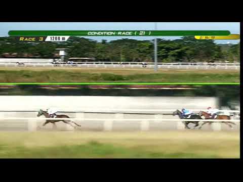 PRCI Race 3 - February 16, 2019