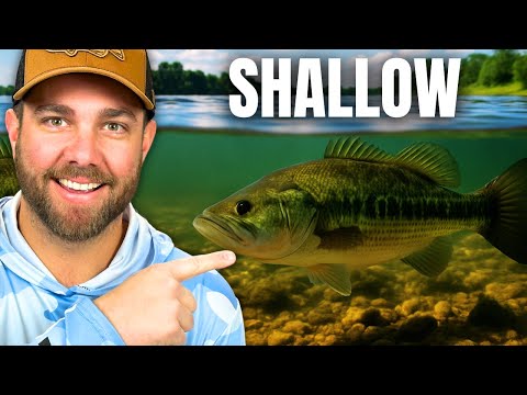 It's About to Happen: My Favorite LATE SUMMER Bass Pattern