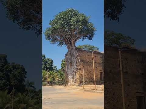 📍Várzea da Palma - Minas Gerais #turismo #iphan #igrejas #historia #vzp #riodasvelhas