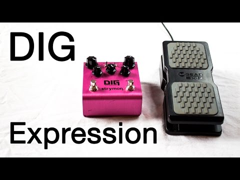 Strymon DIG Dual Digital Delay + Expression Pedal Demo