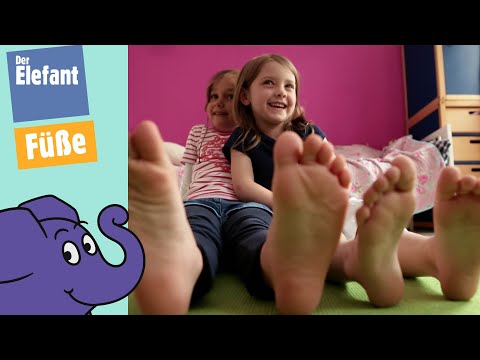 Was kann man mit Füßen alles machen? | Der Elefant | WDR