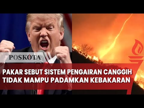 Pakar Sebut Sistem Pengairan Tercanggih Dunia Tak Akan Mampu Padamkan Kebakaran di Los Angeles