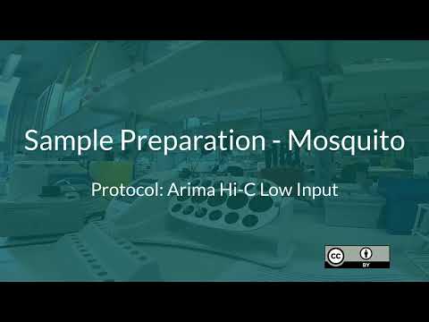 BGE SciLifeLab HiC Course 5 - Challenging Sample Preparation - Mosquito