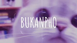 Download lagu [Vietsub   Lyric] Bukanpho - DJ DESA (remix) | Music Tik Tok mp3