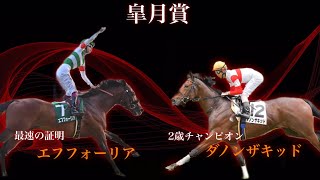馬娘実写化