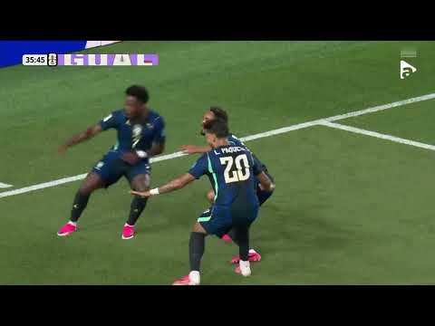 Brazil 3-0 Haiti 
