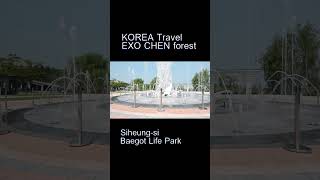 Download lagu K-pop EXO CHEN forest idol KOREA Travel #shorts #short #shortvideo #exo #kpop #korea #koreatravel mp3