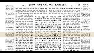 נדרים דף פד