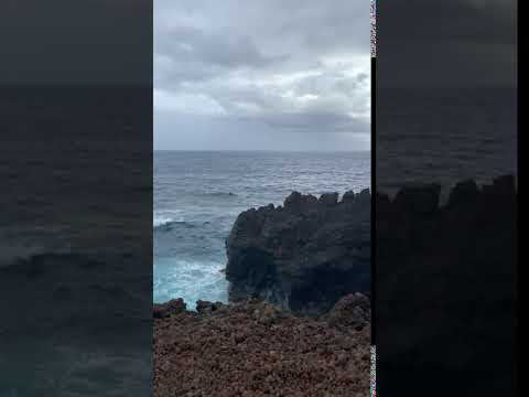 lava rocks along a hiking trail