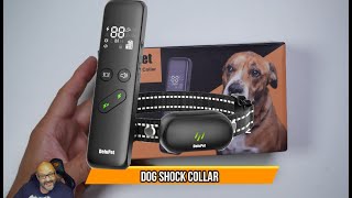 Dog Shock Collar
