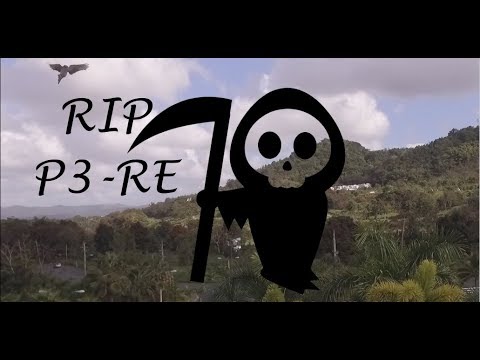 RIP- Goodbye my friend - How to cope with the loss