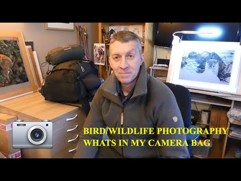Beginner's Guide to Wildlife Photography Essentials (What's In My Bag?)