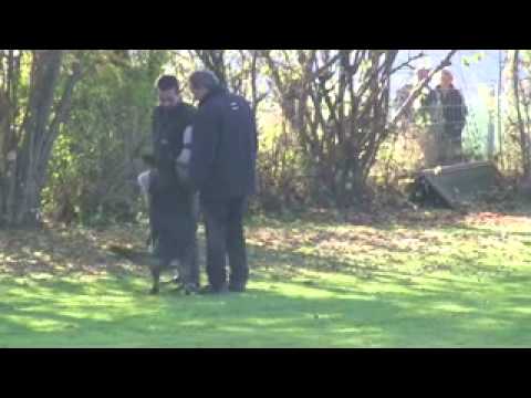 Helmut Huber mit Hank vom Weinbergblick Schutzdienst November 2011