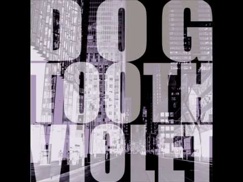 Dog Tooth Violet - Mockingbird